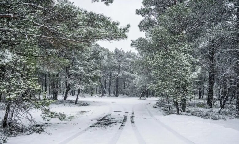 Καιρός-Πρωτοχρονιάς:-«Εισβολή»-εξπρές-πολικού-ψύχους-–-Χιόνια-στην-Αττική,-χαμηλές-θερμοκρασίες-με-ανέμους-που-«ξυρίζουν»