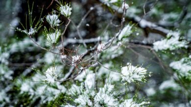 Καιρός-σήμερα:-Ήλιος-με-δόντια,-βροχές-και-χιόνια-στα-ορεινά