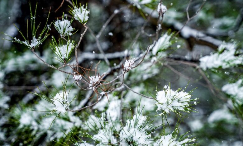 Καιρός-σήμερα:-Ήλιος-με-δόντια,-βροχές-και-χιόνια-στα-ορεινά