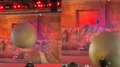 disney:-Εργαζόμενός-της-τραυματίστηκε-προσπαθώντας-να-σταματήσει-ψεύτικο-βράχο-180-κιλών-πριν-χτυπήσει-το-κοινό