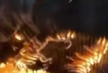 Ελβετία:-Νέο-συγκλονιστικό-βίντεο-από-τη-στιγμή-που-η-φονική-πυρκαγιά-εξαπλώνεται-στο-μπαρ-του-Κραν-Μοντανά