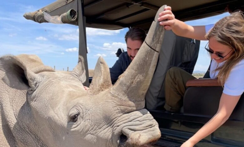 Φίλιππος-Ντε-Γκρες-και-Νίνα-Φλορ-σε-νοσταλγικές-εικόνες-από-πάρκο-στην-Αφρική-με-άγρια-ζώα