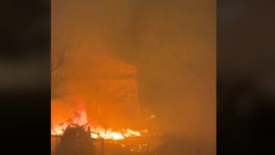 Χανιά:-Υπό-έλεγχο-η-φωτιά-στο-Κεφάλι-Κισάμου-–-Ισχυροί-άνεμοι-δυσκόλεψαν-το-έργο-ης-Πυροσβεστικής