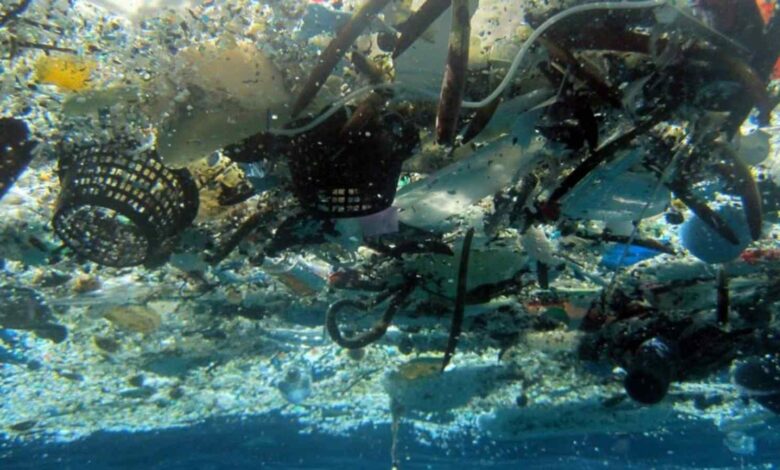 Μικροπλαστικά-βρήκαν-στο-1/3-των-ψαριών-στα-Νησιά-του-Νότιου-Ειρηνικού