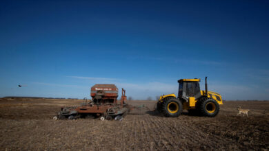 Μέτρο-23:-Δεν-προσμετράται-στις-επιδοτήσεις-–-Παραμένουν-στο-ειδικό-καθεστώς-ΦΠΑ-οι-αγρότες