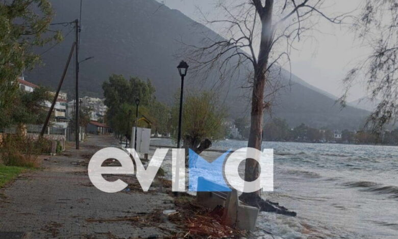 Εύβοια:-Δεκάδες-καταστροφές-από-την-κακοκαιρία-–-Δρόμοι-και-πεζοδρόμια-έγιναν-ποτάμια,-δέντρο-ξεριζώθηκε-και-έπεσε
