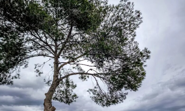 Καιρός-αύριο:-Συννεφιά-και-τοπικές-βροχές-στις-περισσότερες-περιοχές-της-χώρας-–-7-μποφόρ-στο-Ιόνιο