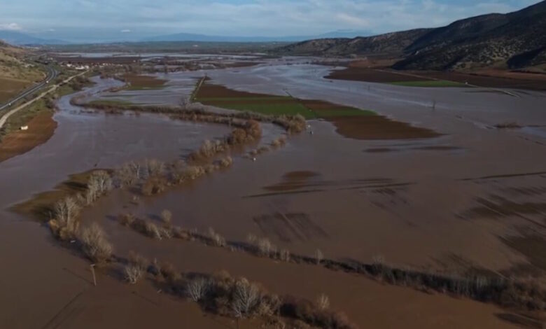Καφέ-«θάλασσα»-ο-Θεσσαλικός-κάμπος-–-Ξεχείλισε-ο-Πηνειός-και-«έπνιξε»-καλλιέργειες