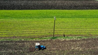 Εργάτες-γης-μέσω-νέας-πλατφόρμας-–-5.000-εποχικοί-εργαζόμενοι-στη-συμφωνία-με-Αίγυπτο