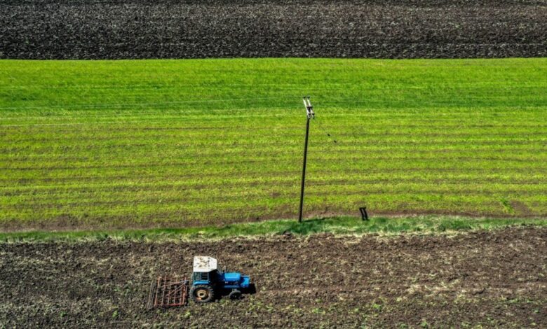 Εργάτες-γης-μέσω-νέας-πλατφόρμας-–-5.000-εποχικοί-εργαζόμενοι-στη-συμφωνία-με-Αίγυπτο