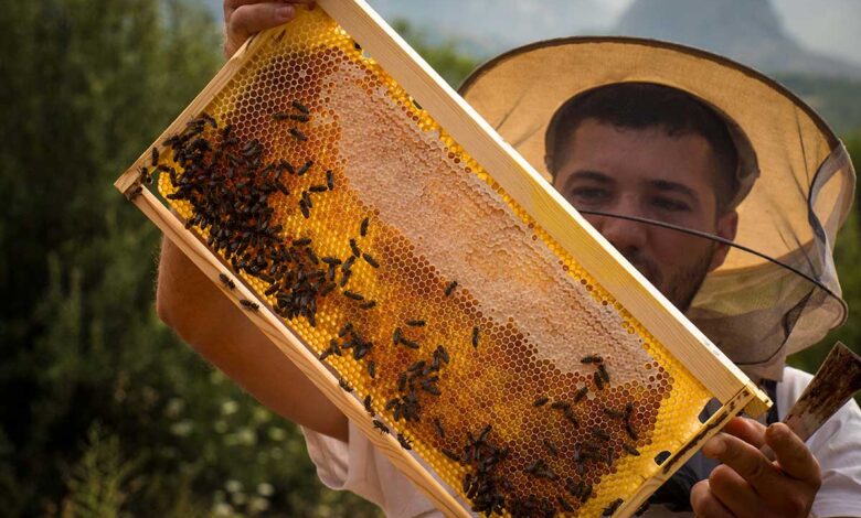 Διπλή-διάκριση-για-το-Μέλι-Μετεώρων-–-Οικ.-Λέκκα-στα-athens-fine-food-awards-2026