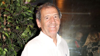 Κώστας-Στεφανής:-«Ποιος-μας-λέει-ότι-αυτή-η-κυρία-δεν-είναι-δυσλεκτική-και,-ενώ-πατούσε-γκάζι,-νόμιζε-ότι-πατούσε-φρένο»