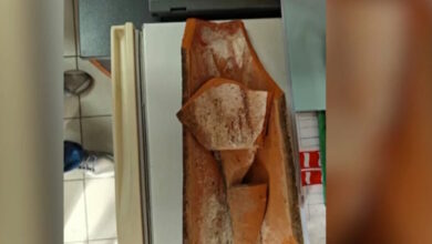 Σοβαρό-ατύχημα-σε-σχολείο-της-Ηλιούπολης:-Μεγάλο-κεραμίδι-ξεκόλλησε-και-έπεσε-στο-προαύλιο-όπου-έπαιζαν-μαθητές