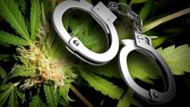 Δύο-συλλήψεις-για-κατοχή-κάνναβης-στα-Τρίκαλα