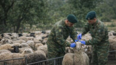 97-στρατιωτικοί-κτηνίατροι-στη-μάχη-κατά-της-ευλογιάς-–-και-στη-Θεσσαλία