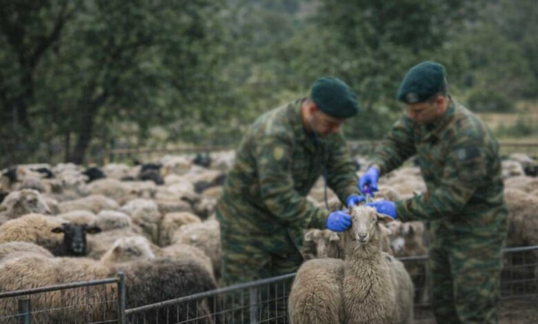 97-στρατιωτικοί-κτηνίατροι-στη-μάχη-κατά-της-ευλογιάς-–-και-στη-Θεσσαλία