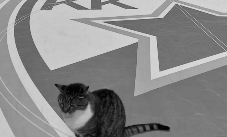 Έφυγε-από-τη-ζωή-η-Λιουμπίτσα:-Η-διάσημη-γάτα-φανατική-οπαδός-του-Ερυθρού-Αστέρα