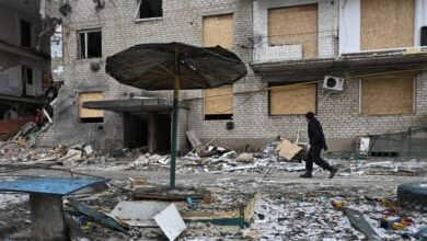 Οι-Ρώσοι-χτύπησαν-με-drones-ένα-καταφύγιο-ζώων-στη-Ζαπορίζια:-Συντριμμένοι-οι-εθελοντές-από-τα-νεκρά-σκυλιά