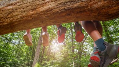 Βρετανία:-Κάθειρξη-23-ετών-σε-76χρονο-που-επιτέθηκε-σεξουαλικά-σε-αγόρια-σε-κατασκήνωση-–-Είχε-βάλει-ηρεμιστικά-σε-γλυκά