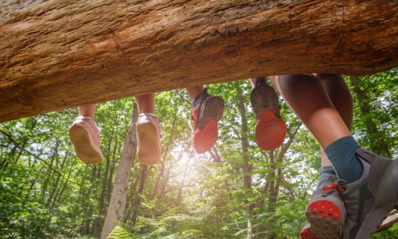 Βρετανία:-Κάθειρξη-23-ετών-σε-76χρονο-που-επιτέθηκε-σεξουαλικά-σε-αγόρια-σε-κατασκήνωση-–-Είχε-βάλει-ηρεμιστικά-σε-γλυκά