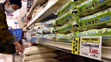 Η-ακρίβεια-καθορίζει-την-ψήφο-στις-ιαπωνικές-εκλογές