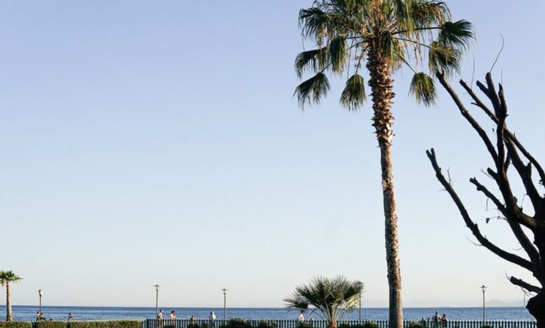 Η-δημοσκόπηση-για-την-αυτοδιοίκηση-και-οι-δήμαρχοι-που-κατάφεραν-να-κατακτήσουν-την-πρωτιά