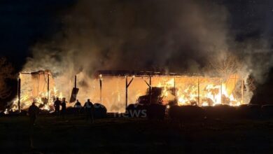 Φωτιά-σε-στάβλο-στο-Καστράκι-Μετεώρων