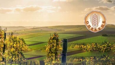 ΟΠΕΚΕΠΕ:-Η-δεύτερη-δικογραφία-προς-τη-Βουλή-μπορεί-να-μην-είναι-μόνο-μία