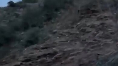 Ευρυτανία:-Τροχαίο-με-έναν-νεκρό-όταν-αυτοκίνητο-έπεσε-σε-γκρεμό-300-μέτρων-–-Βίντεο