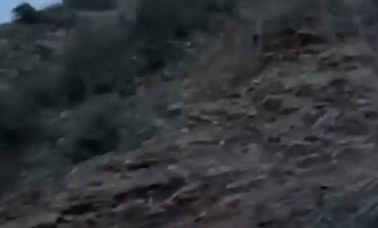 Ευρυτανία:-Τροχαίο-με-έναν-νεκρό-όταν-αυτοκίνητο-έπεσε-σε-γκρεμό-300-μέτρων-–-Βίντεο