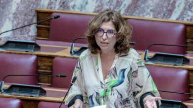 Καραγεωργοπούλου:-Διαφώνησα-στις-πολιτικές-προτεραιότητες-και-στον-τρόπο-κοινοβουλευτικού-ελέγχου-της-Κωνσταντοπούλου