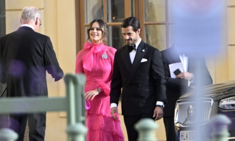 Η-πριγκίπισσα-Σοφία-της-Σουηδίας-παραδέχεται-ότι-είχε-συναντήσει-τον-Επστάιν-σε-εκδηλώσεις-στα-20-της