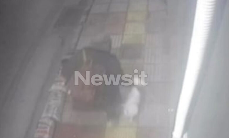 Περιστέρι:-«Μου-έκλεψε-τον-Λόκι-και-έσκισε-και-τις-αφίσες-του-για-να-μην-τον-εντοπίσουμε»,-λέει-η-γυναίκα-που-της-άρπαξαν-τον-σκύλο