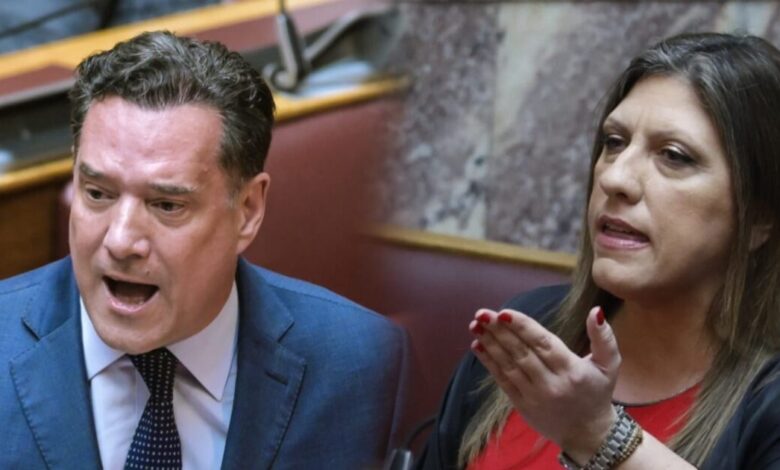 Ο-Γεωργιάδης-απαντά-στην-Κωνσταντοπούλου:-«Πήγε-με-robe-de-chambre-στο-ΑΤ-για-να-μου-κάνει-μήνυση-και-έγινε-ρεζίλι»