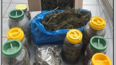 2,7-κιλά-κάνναβης-σε-σπίτι-στα-Τρίκαλα-–-Σύλληψη-59χρονου