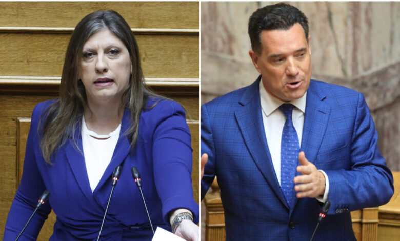 Γεωργιάδης-κατά-Κωνσταντοπούλου:-«Βγήκα-εκτός-ορίων,-είναι-ό,τι-χειρότερο-έχω-συναντήσει»