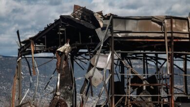 «Βιολάντα»:-Συνελήφθη-ξανά-ο-ιδιοκτήτης-του-εργοστασίου