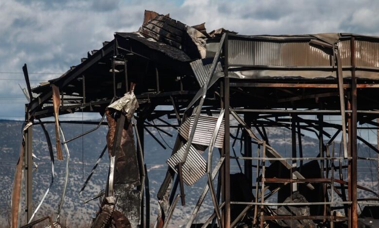 «Βιολάντα»:-Συνελήφθη-ξανά-ο-ιδιοκτήτης-του-εργοστασίου