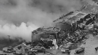 Βιολάντα:-Συλλήψεις-μετά-την-αναβάθμιση-σε-κακούργημα