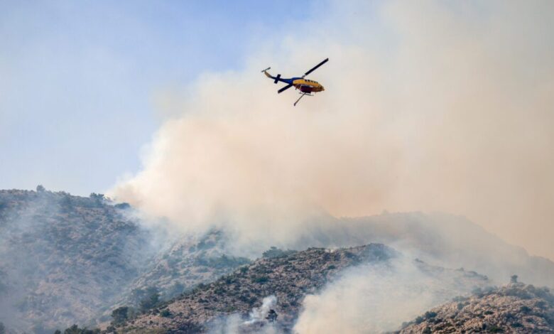 Άνοιξε-η-πλατφόρμα-mybusinesssupport-για-την-στήριξη-των-επιχειρήσεων-που-επλήγησαν-από-τις-πυρκαγιές-στη-Χίο