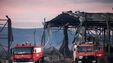 Βιολάντα:-Οι-6-λόγοι-που-οδήγησαν-στη-σύλληψη-του-ιδιοκτήτη-του-εργοστασίου