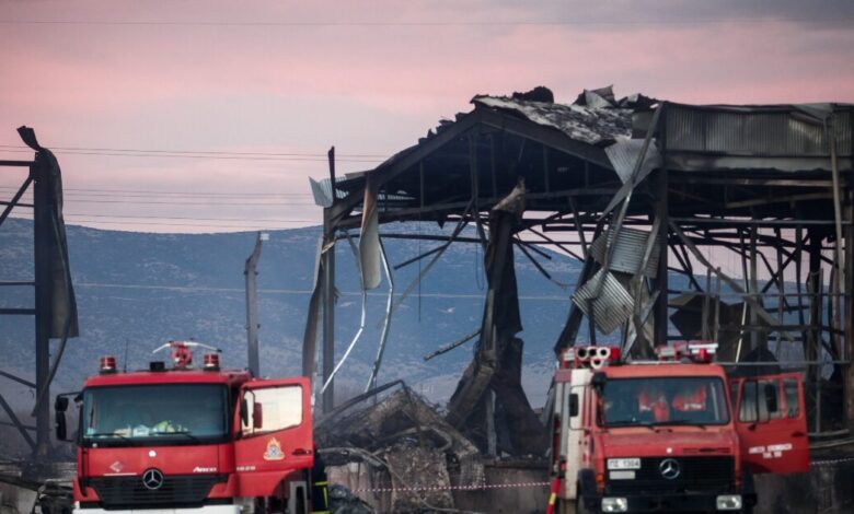 Βιολάντα:-Οι-6-λόγοι-που-οδήγησαν-στη-σύλληψη-του-ιδιοκτήτη-του-εργοστασίου