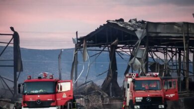 Βιολάντα:-Οι-6-λόγοι-που-οδήγησαν-στη-σύλληψη-του-ιδιοκτήτη-του-εργοστασίου