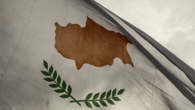 Η-Κύπρος-θα-συμμετάσχει-στο-Συμβούλιο-για-την-Ειρήνη-ως-παρατηρητής