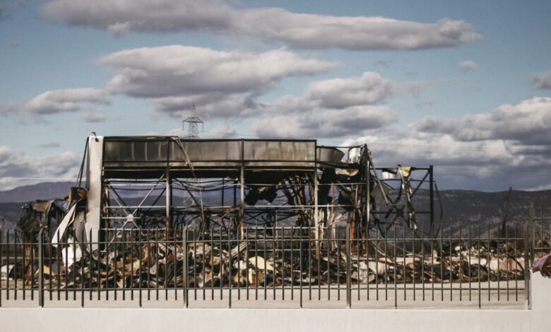 Βιολάντα:-Στην-Αστυνομική-Διεύθυνση-Τρικάλων-πέρασε-τη-νύχτα-ο-ιδιοκτήτης-του-εργοστασίου-–-Την-Τρίτη-η-απολογία-του,-αντιμέτωπος-ακόμα-και-με-ισόβια