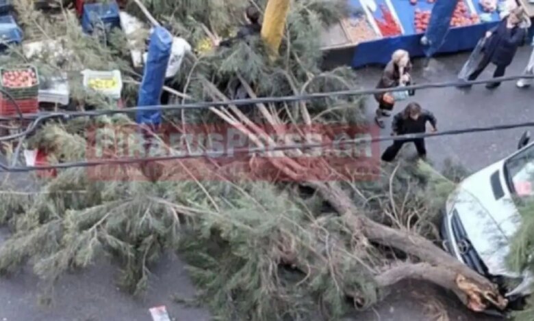 Δέντρο-έπεσε-σε-λαϊκή-αγορά-στον-Πειραιά-–-Δεν-υπήρξαν-τραυματισμοί
