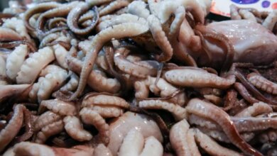 Καθαρά-Δευτέρα:-Πού-κυμαίνεται-η-τιμή-της-λαγάνας-–-Τιμές-«φωτιά»-στα-θαλασσινά