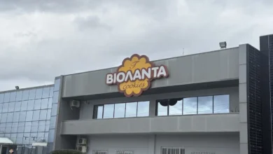 Βιολάντα:-Επιστολή-παρέμβαση-από-256-εργαζομένους