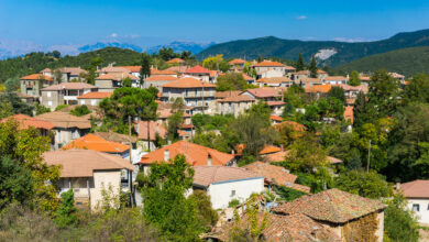 ΕΤΑΔ:-Ηλεκτρονικός-διαγωνισμός-για-την-αξιοποίηση-του-«Ξενία-Βυτίνας»