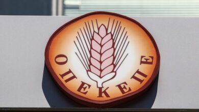 ΠΑΣΟΚ-για-ΟΠΕΚΕΠΕ:-Η-ΝΔ-έπαιζε-τα-ρέστα-της-με-τον-πειθαρχικό-έλεγχο-σε-μέλος-μας-γιατί-ερχόταν-τσουνάμι-για-επιφανές-«γαλάζιο»-στέλεχος